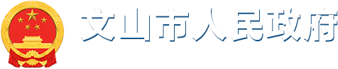 文山市人民政府